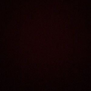 Meet your Posher, Nidia